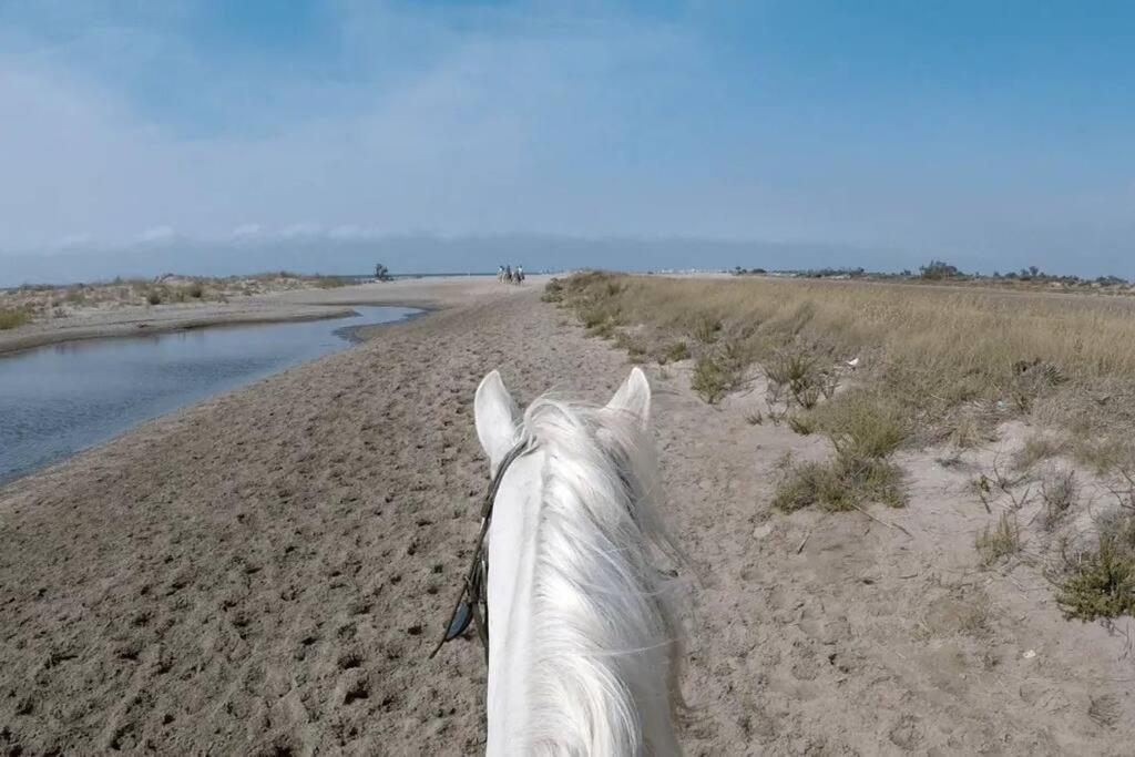 ארל "Le Nature" Camargue Jardin מראה חיצוני תמונה