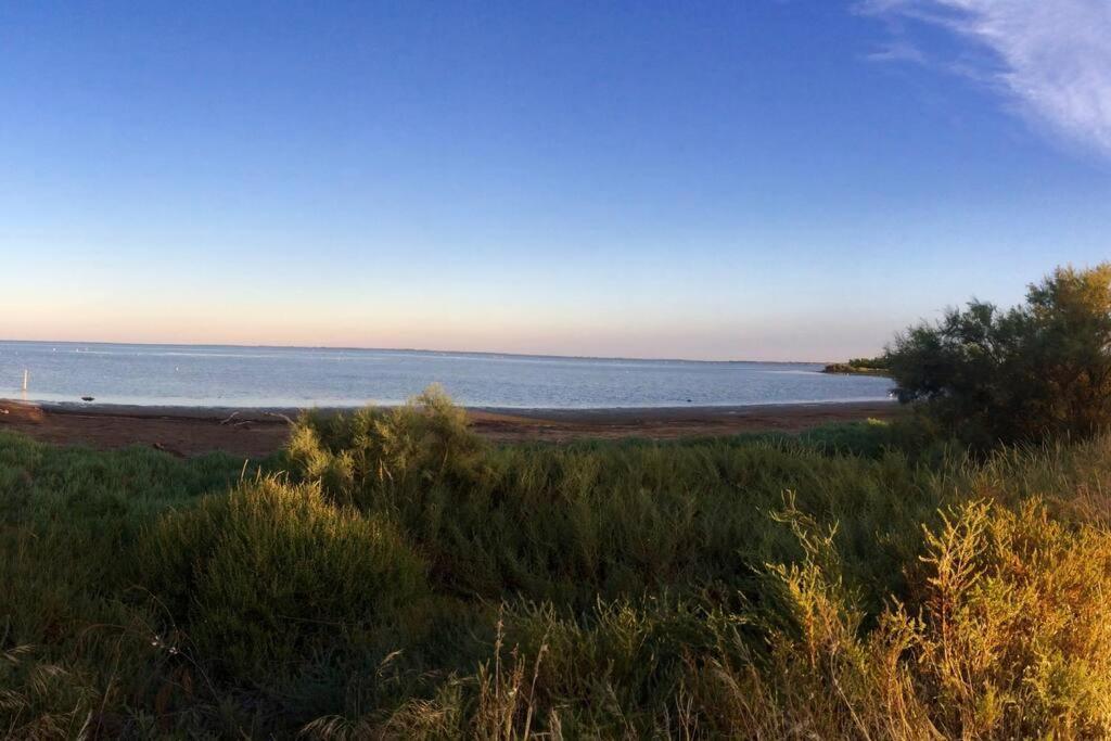 ארל "Le Nature" Camargue Jardin מראה חיצוני תמונה
