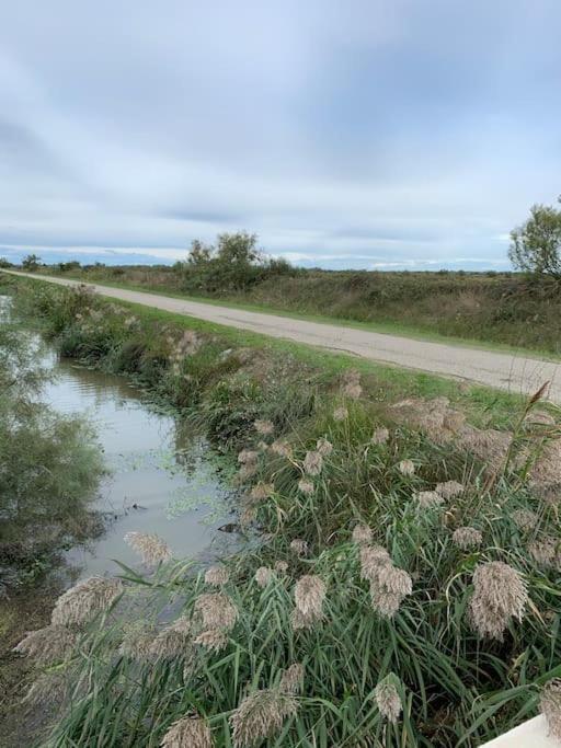 ארל "Le Nature" Camargue Jardin מראה חיצוני תמונה